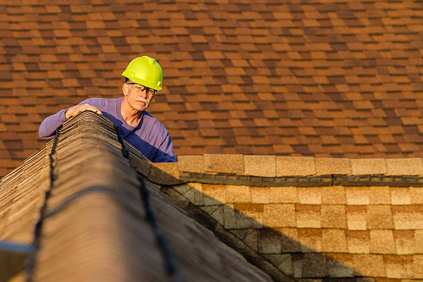 Best Roof Maintenance Services  in Lenexa, KS